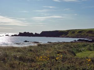 Cruden Bay Cliffs